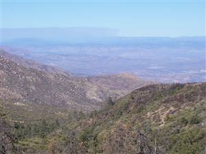 Fire on Mogollon Rim